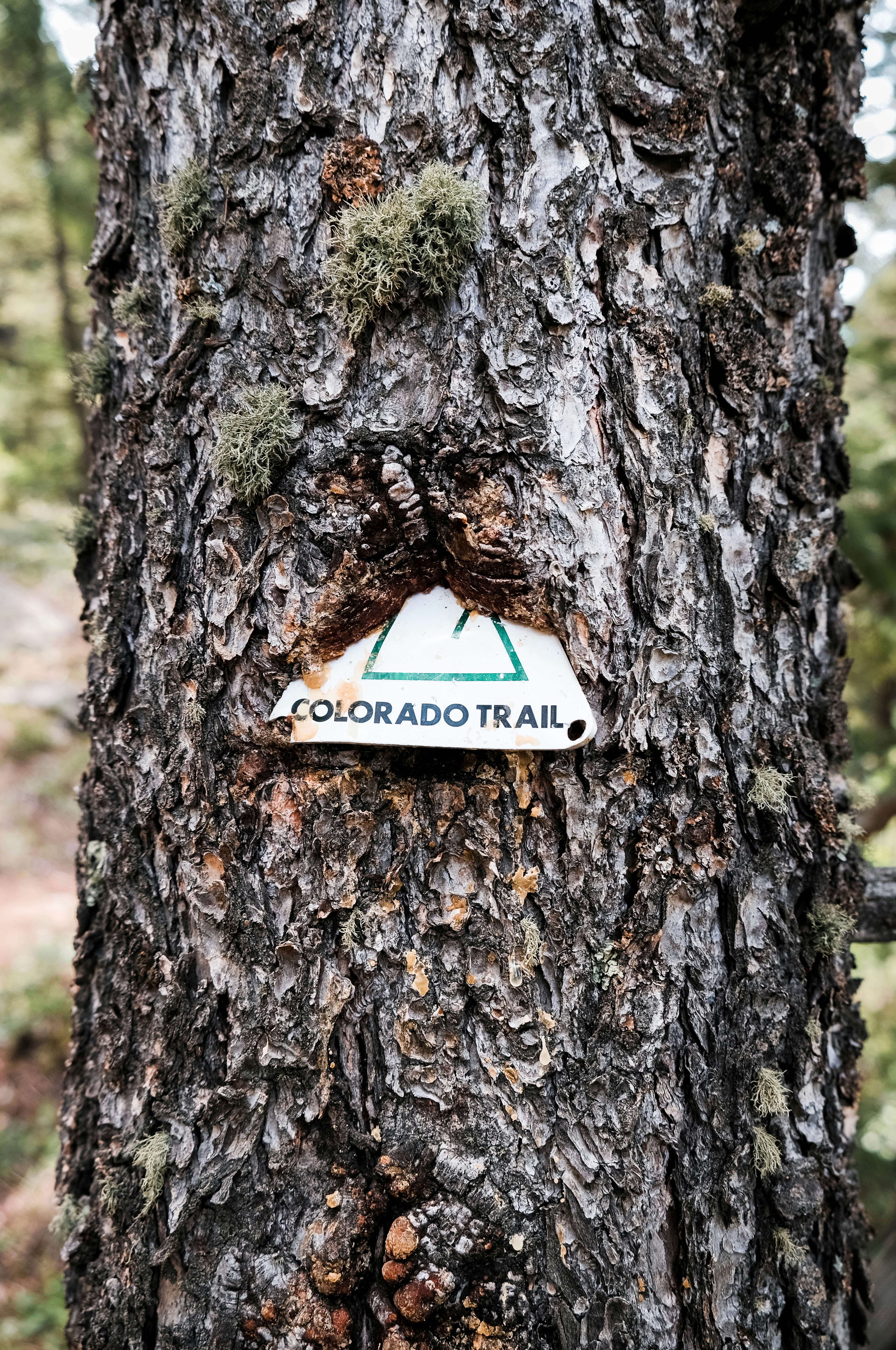 white and black wooden arrow sign